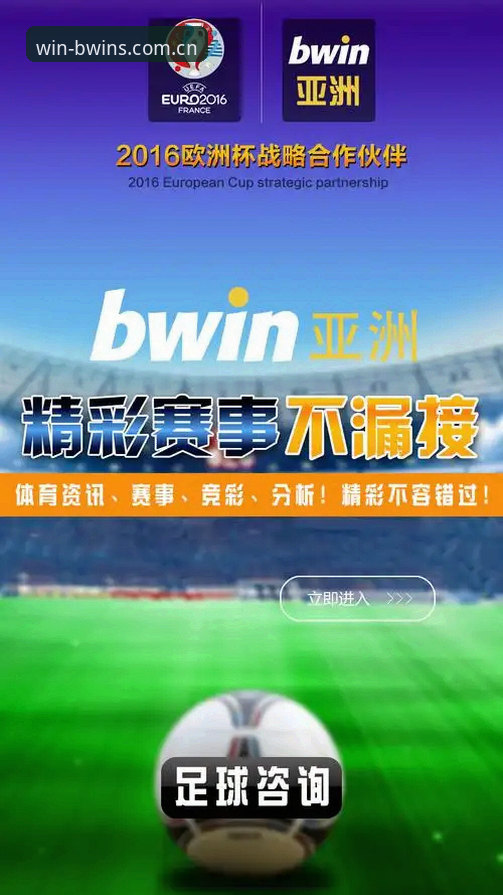 必赢必发体育下载vs官网直接使用：新手选择全面对比分析